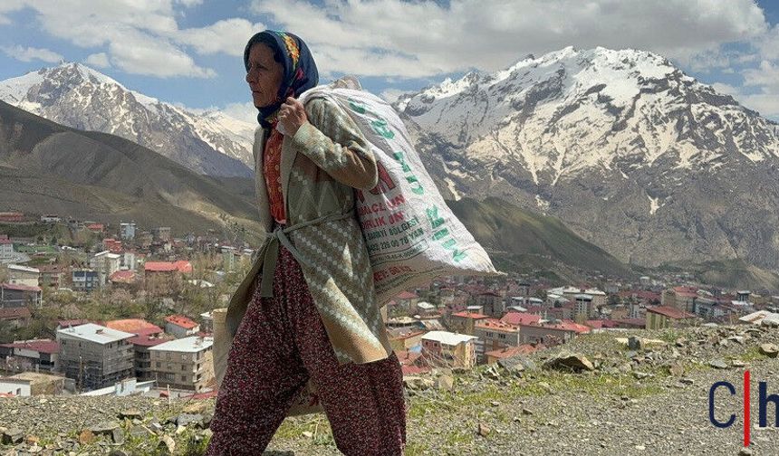 Hakkari’de Yolu Olmayan Anne, Çuvalları Sırtında Taşıyarak Eve Ulaşıyor