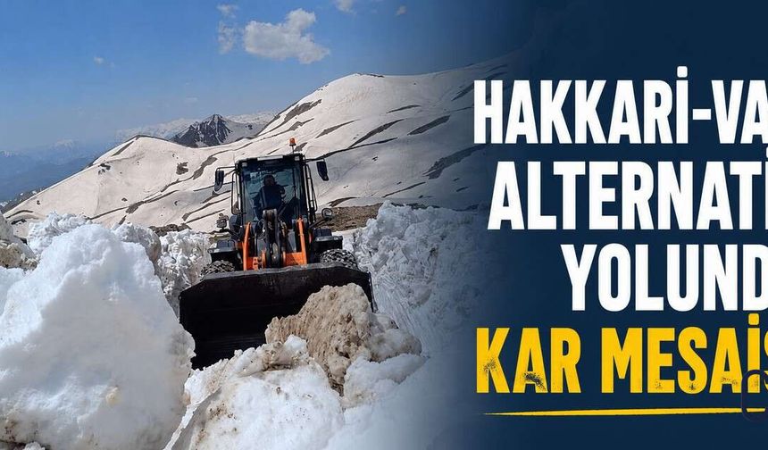 Hakkâri-Van Alternatif Yolunda Karla Mücadele Seferberliği