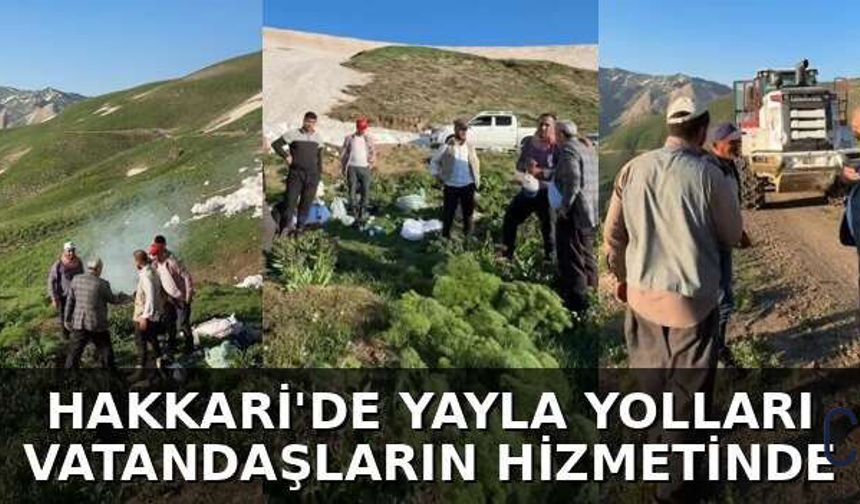 Durankaya’da Yayla Yolları Sezona Hazır: Çemşelele ve Waye Ağa Ulaşıma Açıldı