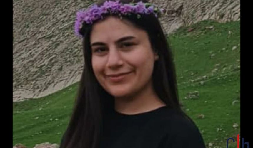 Hakkarili 19 Yaşındaki Züleyha Çiftçi Sağ Salim Bulundu