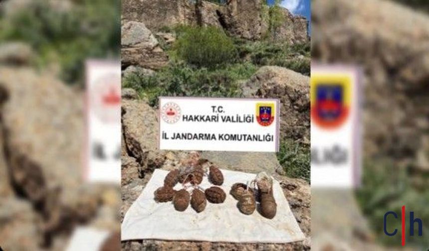 Hakkâri Dahil 8 İlde Kapsamlı Arama-Tarama Faaliyeti