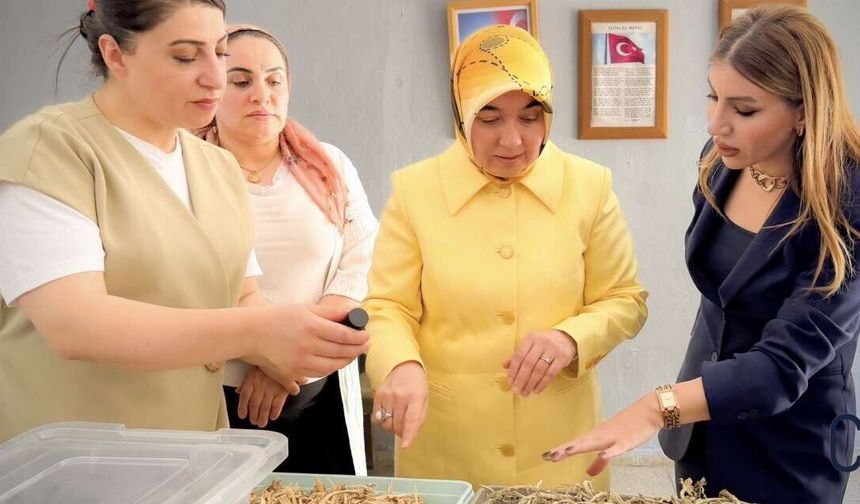 Vali Taşyapan'ın Eşi Nesibe Taşyapan'dan Kadın Kooperatifine Destek Ziyareti