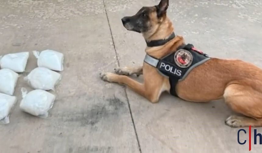 Uyuşturucu Operasyonu: Tırda 5 Kilo 800 Gram Metamfetamin Bulundu