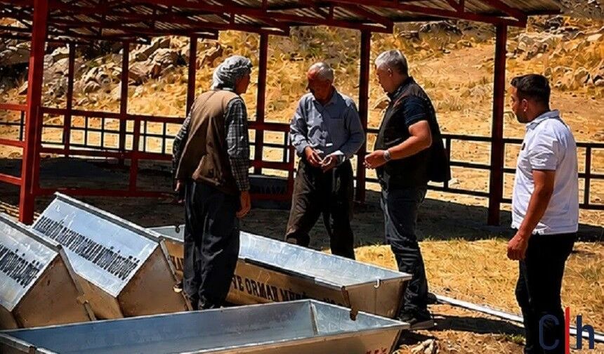 Hakkâri’de Hayvancılığa Güç Katacak Projeler Sahada