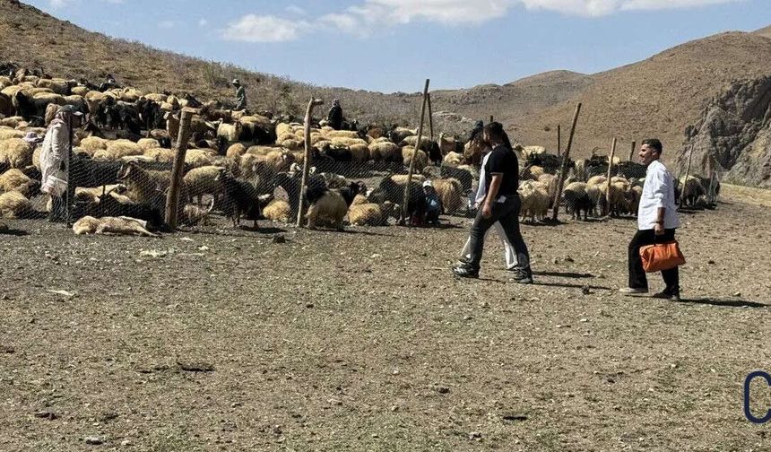 Yüksekova’da Berivanlara mobil sağlık hizmeti