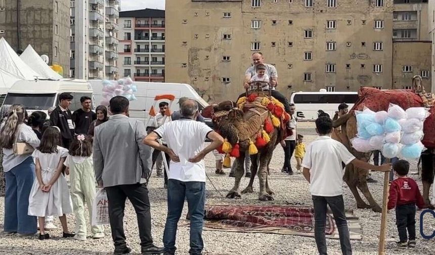 Yüksekova’da çocuklar için renkli etkinlik: Deve ve midilli turu