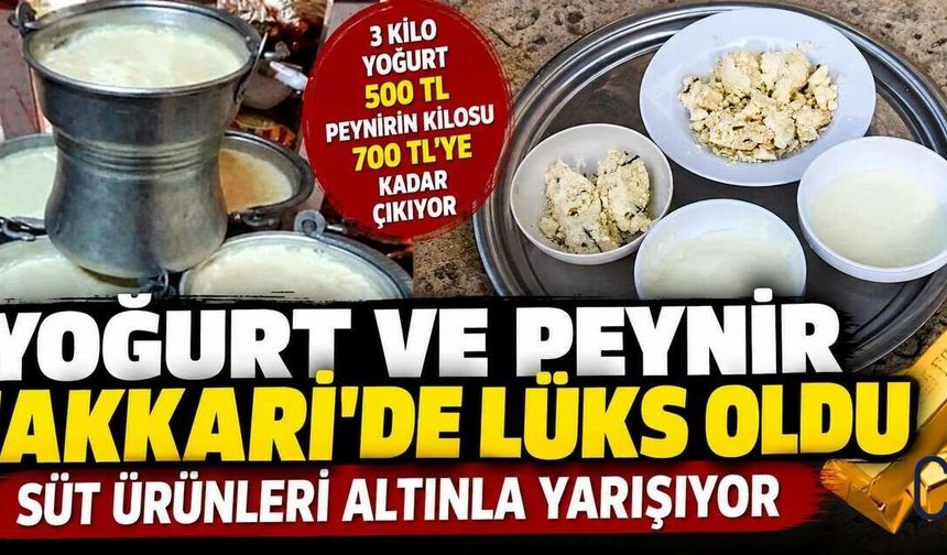 Hakkari’de süt ürünleri cep yakıyor