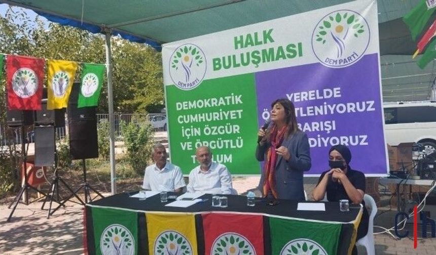 Meral Danış Beştaş: Türkiye barışını arıyor