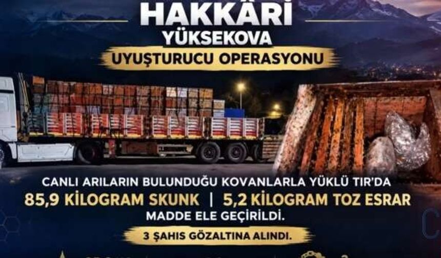 Hakkari’de arı kovanlarının içinden 91,1 kilo skunk çıktı