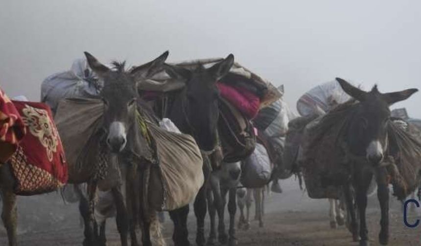Beytüşşebap'ta göçerlerin yayla yolculuğu sona erdi
