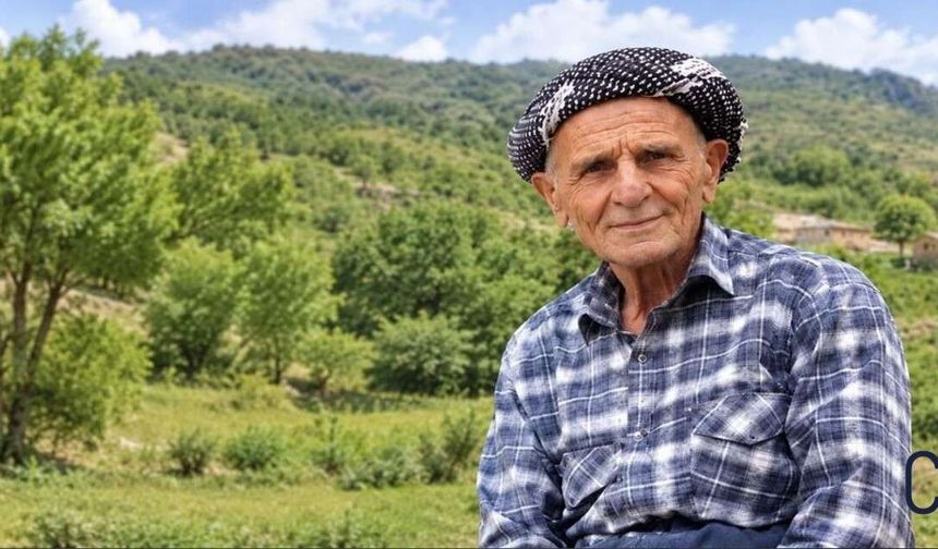 Hakkari’de ceviz hasadı acıyla bitti