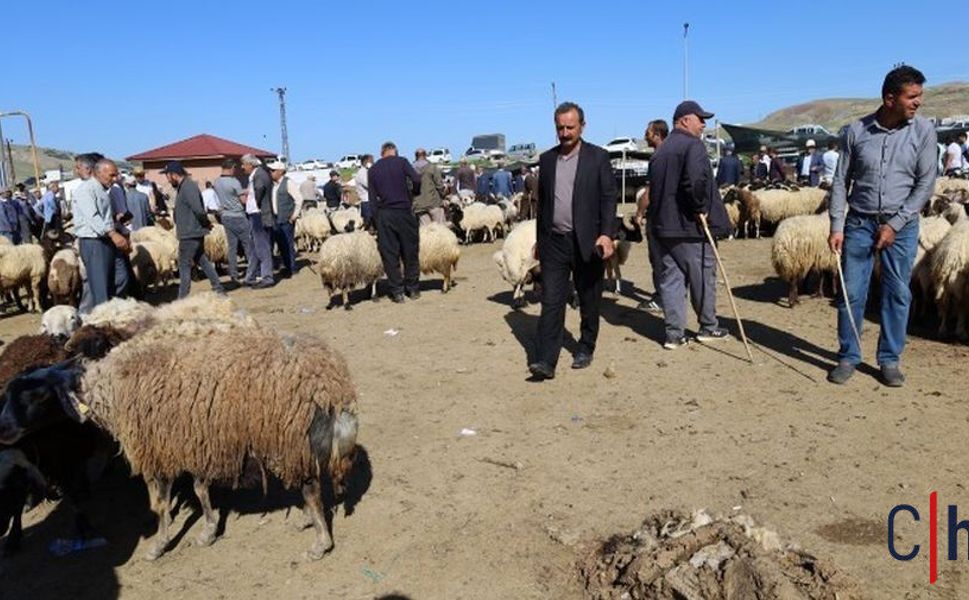 Hakkari'de 2026 Vekaletle Kurban Bedelleri Belli oldu