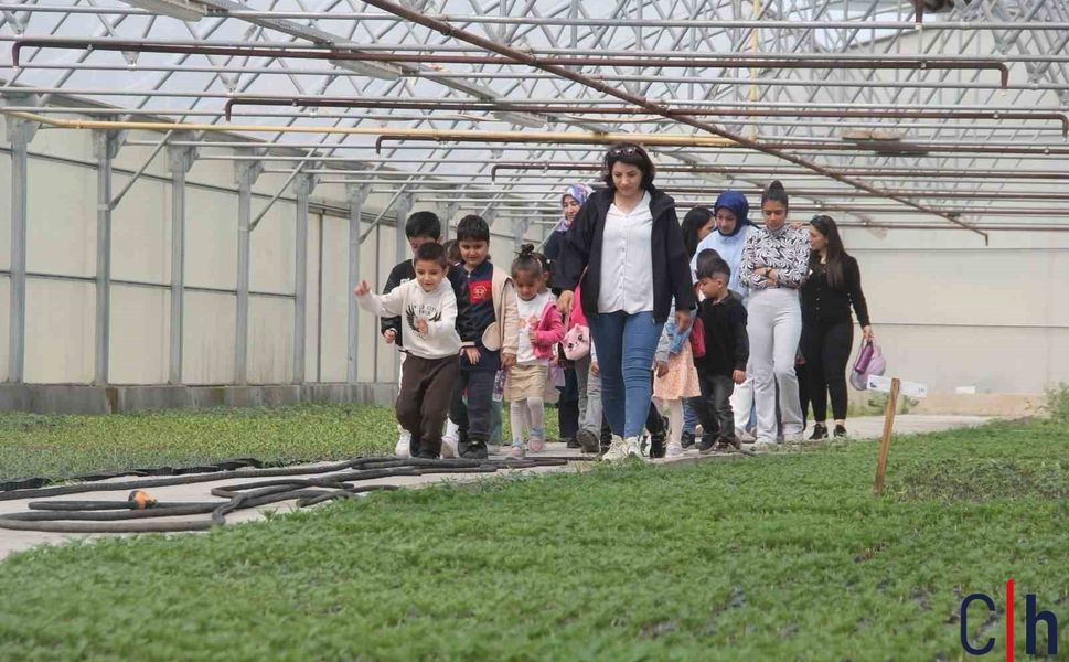 Anaokulu öğrencileri seralarda hem öğrendi hem eğlendi