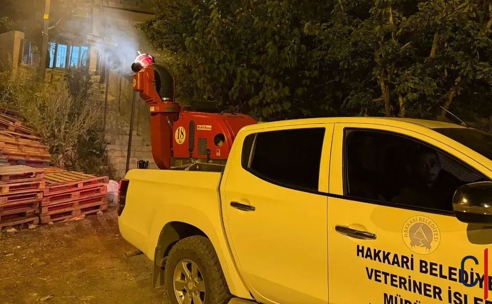 Hakkâri’de Sinek İstilası Vatandaşı Bıktırdı!