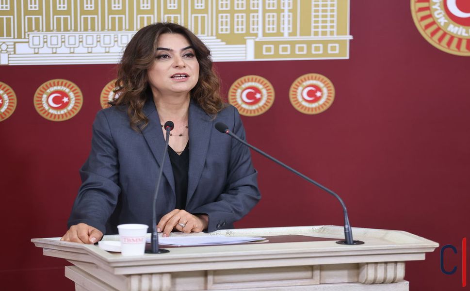 DEM Parti Hakkari'deki Sağlık Eksikliğini Meclis’e Taşıdı