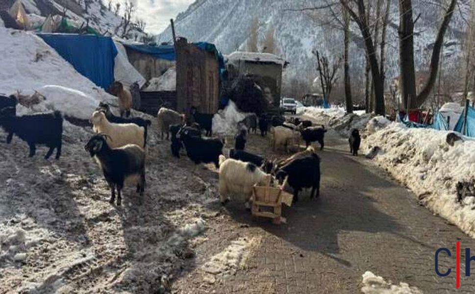 Köye Düşen Dev Kayalar Dronla Görüntülendi