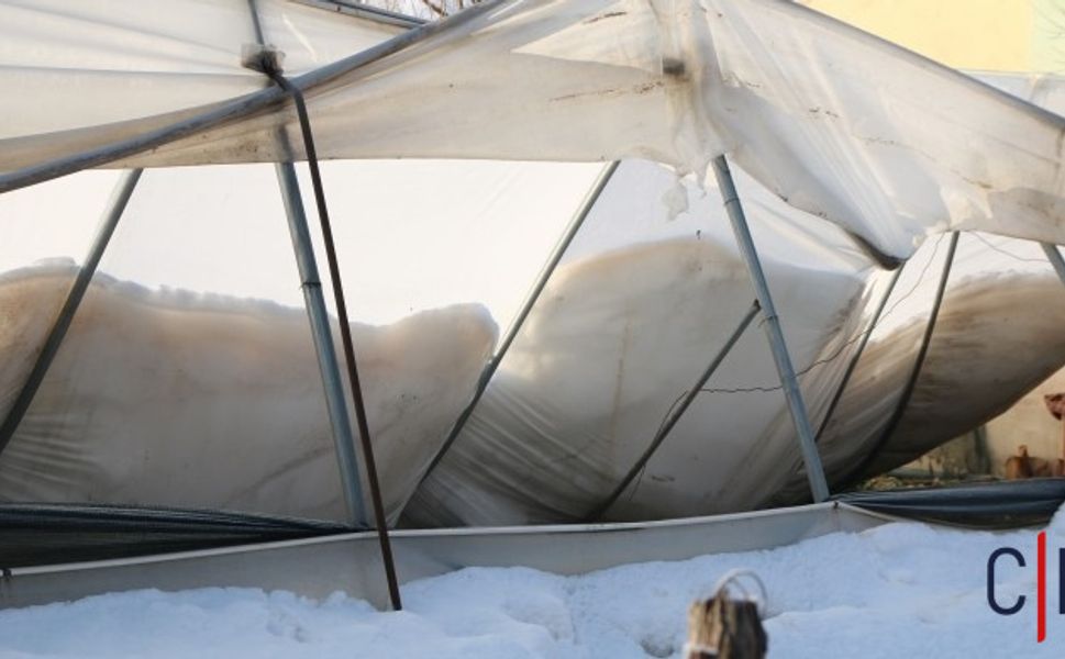 Hakkari’de Kar Felaketi: Derecik’te Seralar Çöktü, Üreticiye 15 Bin TL Destek