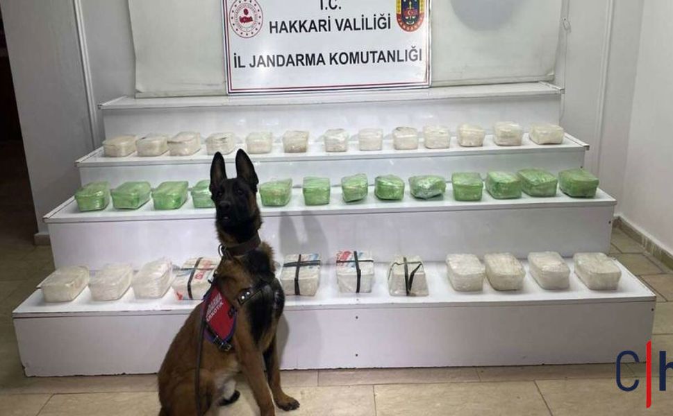 Hakkari’de Zehir Tacirlerine Darbe: 1 Gözaltı