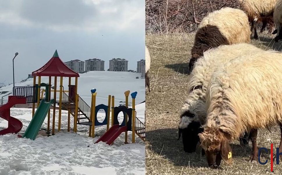 Hakkari’de İlginç Manzara: Aynı Anda Kış ve Bahar