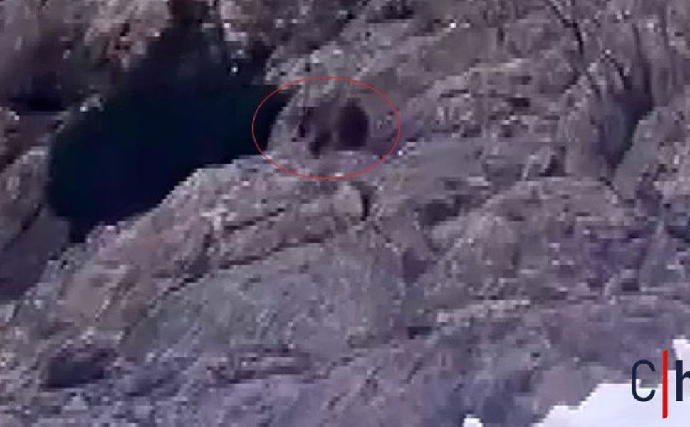 Kış Uykusundan Uyanan Ayı, Karlar İçinde Yiyecek Aradı