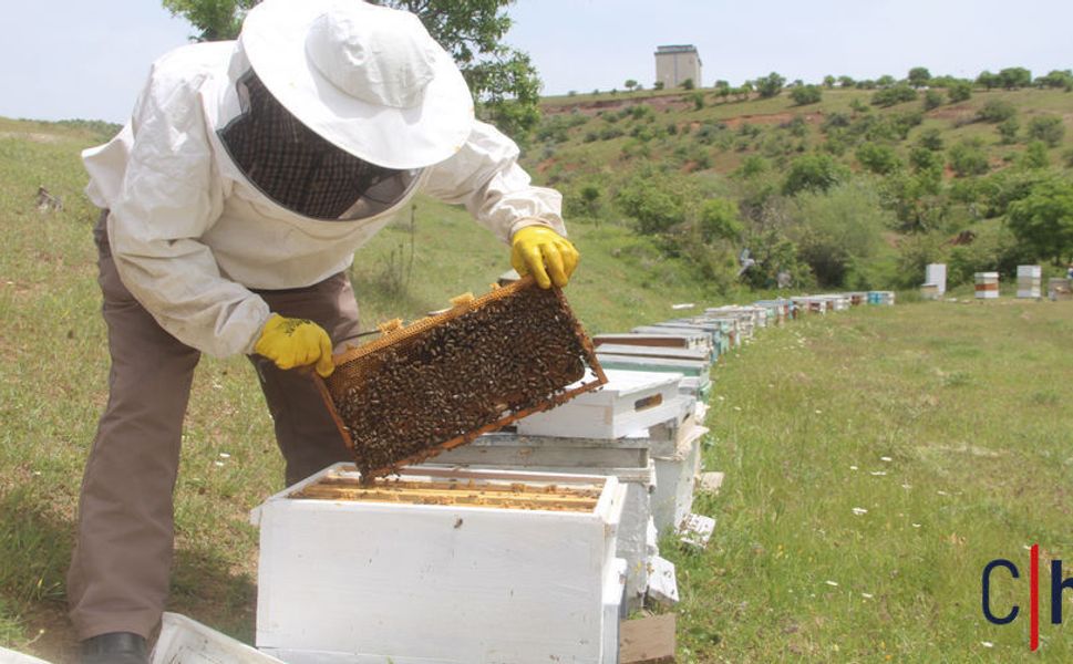 Sezon Yavaş Yavaş Açılıyor, Arıcıların Umudu Büyük