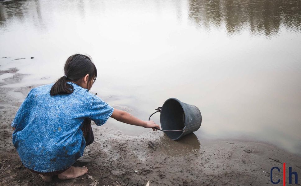 Su ve Orman Alarmı: TEMA’dan Eşitsizlik ve “Su İflası” Uyarısı