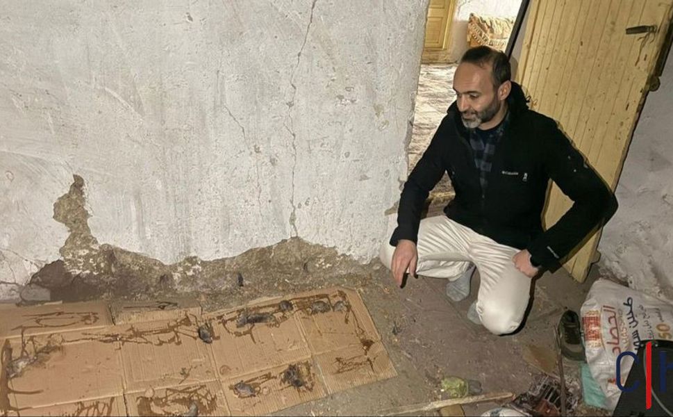 Hakkâri’de Fare İstilası: 5 Çocuk Babası Yardım Bekliyor