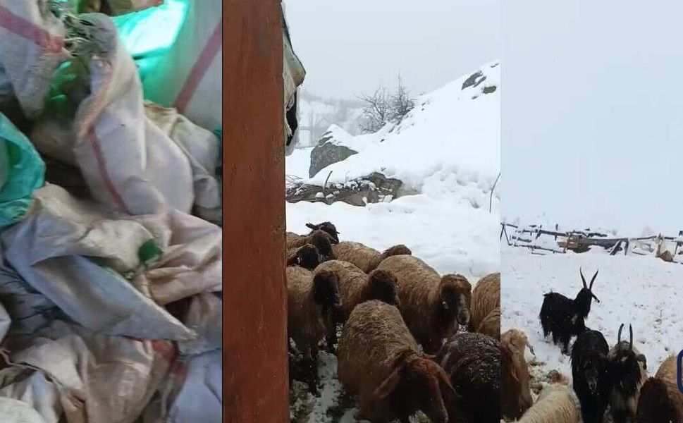 Hakkâri’de Kar Esareti: Kamışlı Köyünde Çiftçiler Yem Desteği Bekliyor