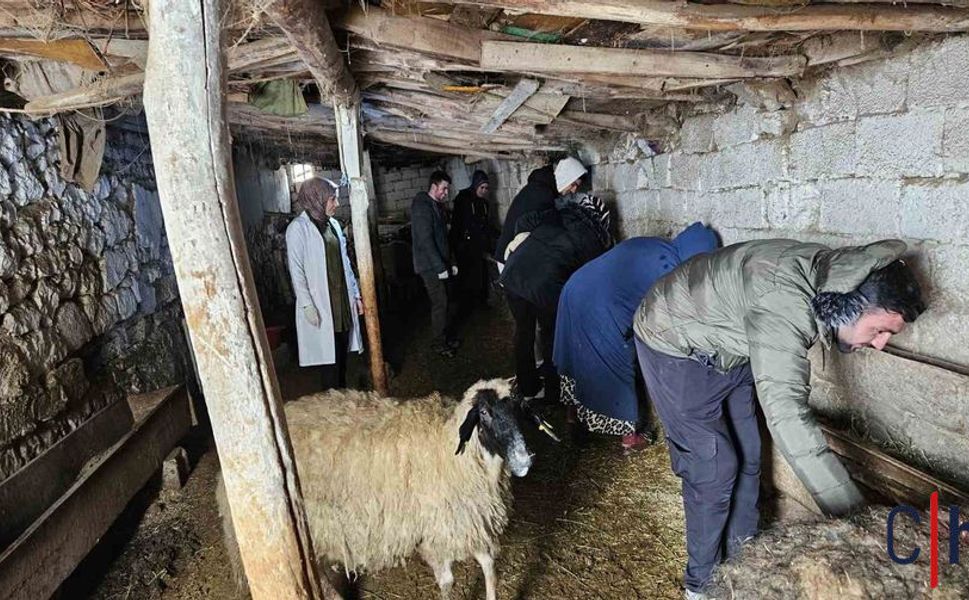 Tarım ve Hayvancılıkta Eğitim Seferberliği Başladı