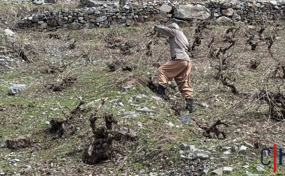 Aynı Gün İki Mevsim: Zirvede Kar, Köyde Bahar