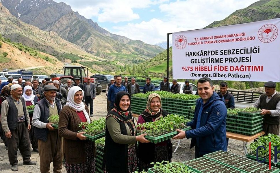 Hakkâri’de Çiftçiye Büyük Destek: Yüzde 75 Hibeli Sebze Fideleri Geliyor!