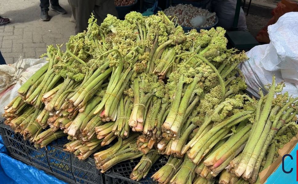 Hakkari’de Uçkun Mesaisi Başladı: Dağların "Eşkı" Lezzeti Cep Yakıyor!