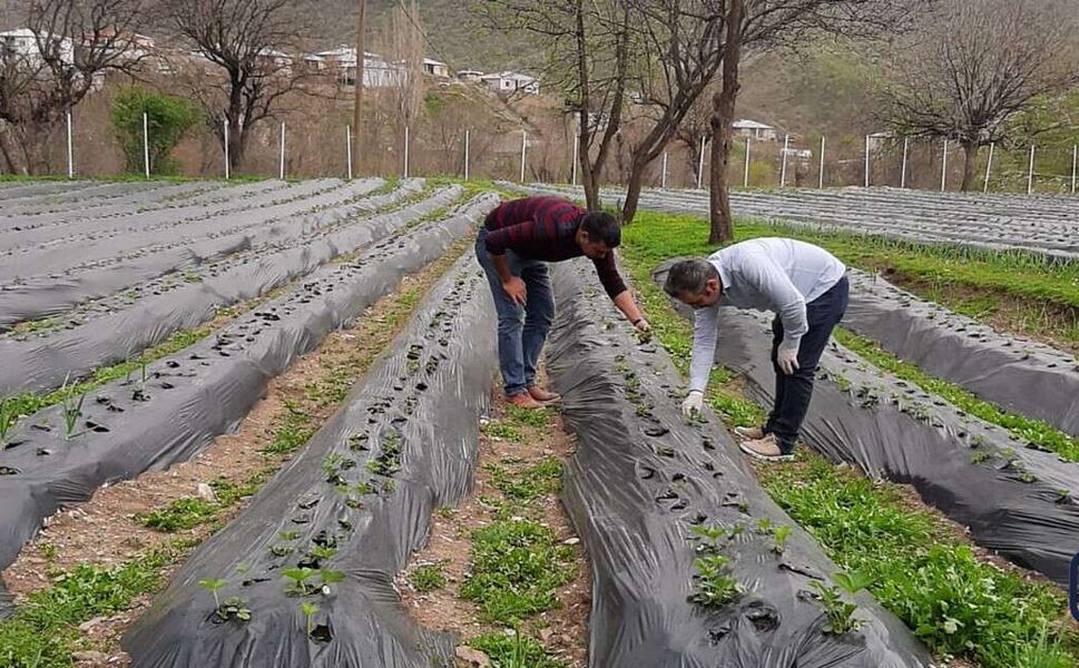 Derecik’te Sera Hamlesi: Tarımda Yeni Dönem Başladı