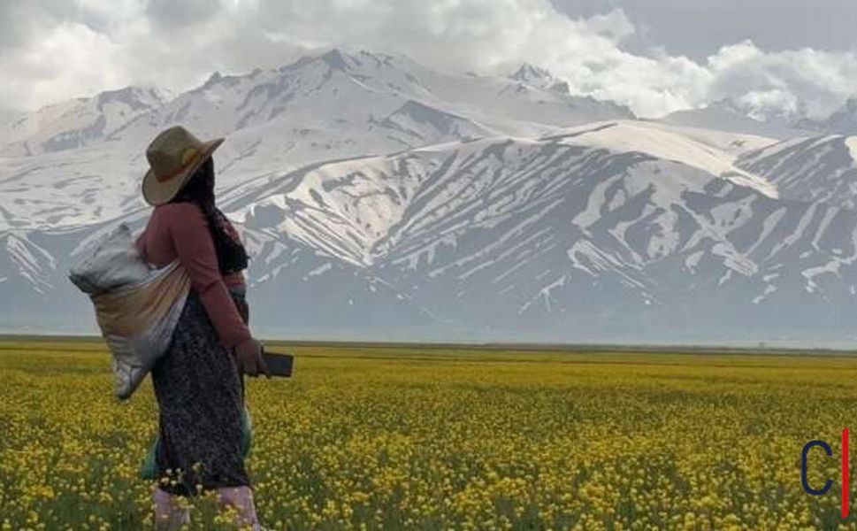 Cilo Dağı’nın Eteklerinde Bahar: Yüksekova’da İki Mevsim Bir Arada