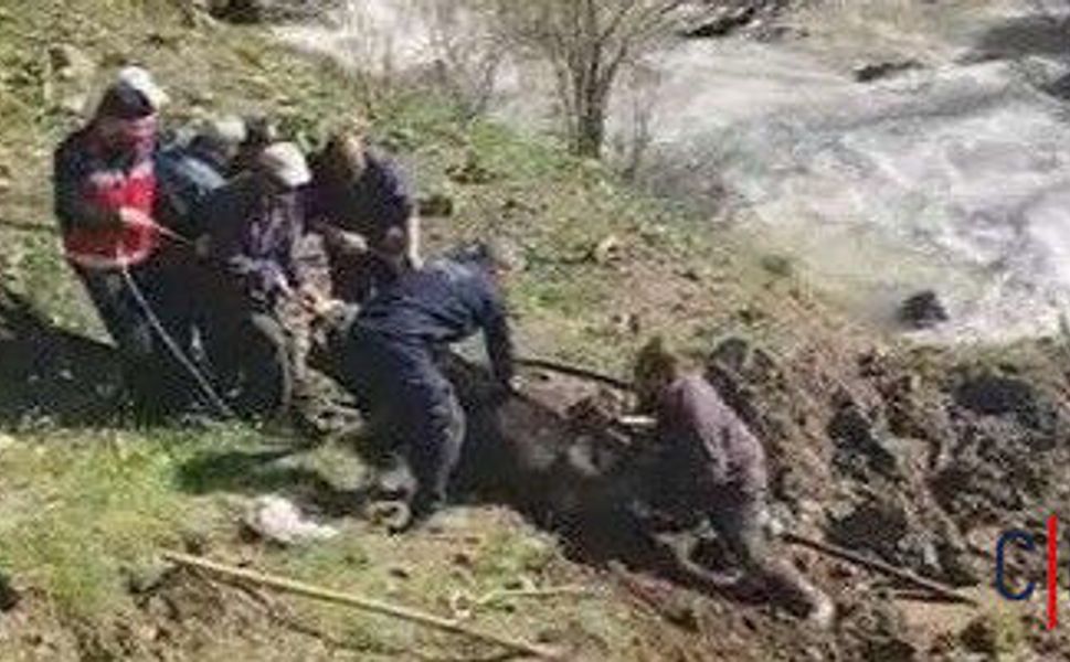 Otluca’da Bataklığa Saplanan İnek Kurtarıldı