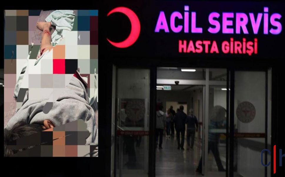 Köpek Saldırısı Dehşeti: 11 Yaşındaki Çocuk Ölümden Döndü