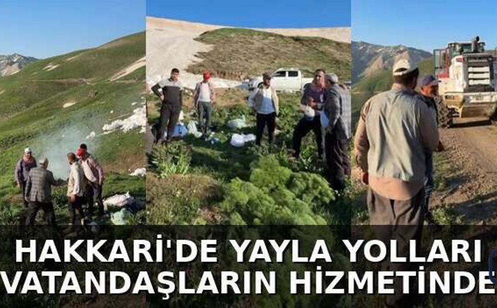 Durankaya’da Yayla Yolları Sezona Hazır: Çemşelele ve Waye Ağa Ulaşıma Açıldı