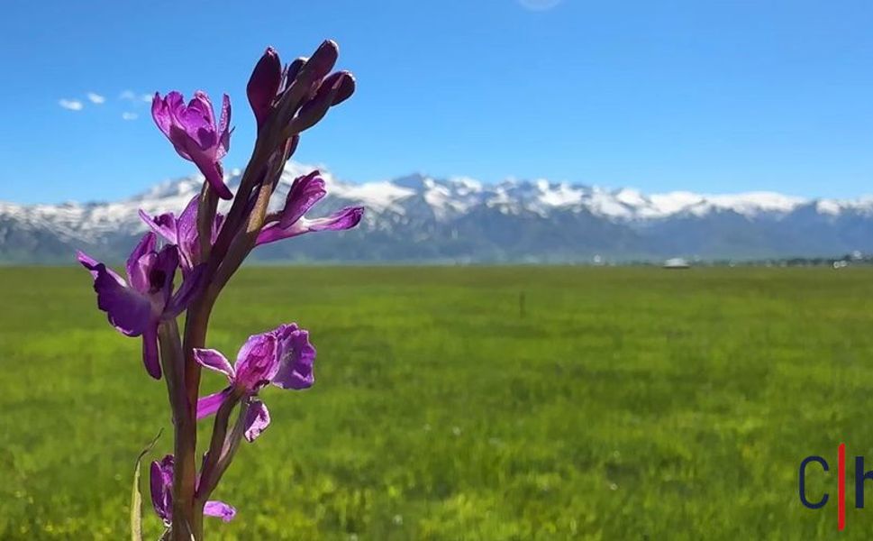 Hakkari'de Aynı Anda Yaz ve Kış Yaşanıyor