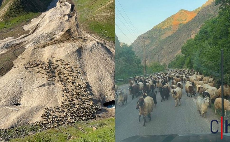Hakkari’de Geciken Yayla Sezonu Başladı