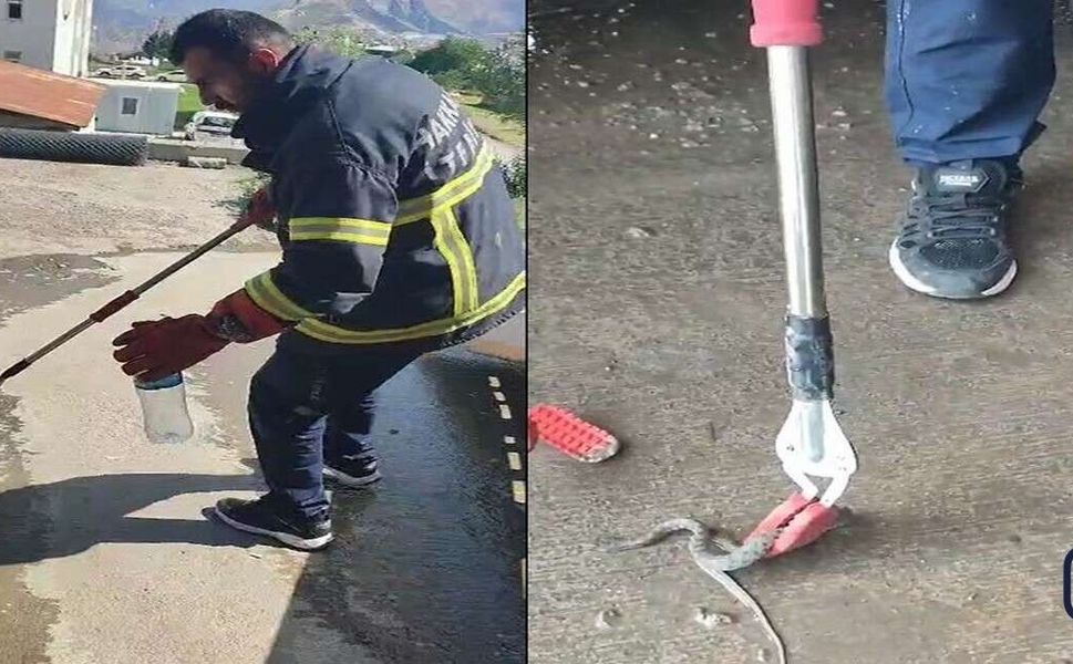 Hakkâri'de Otomobilin Kaportasına Giren Yılan İtfaiye Ekiplerini Harekete Geçirdi