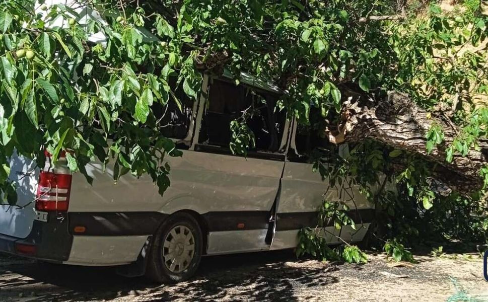 Hakkari'de Ceviz Ağacı Park Halindeki Aracın Üzerine Devrildi