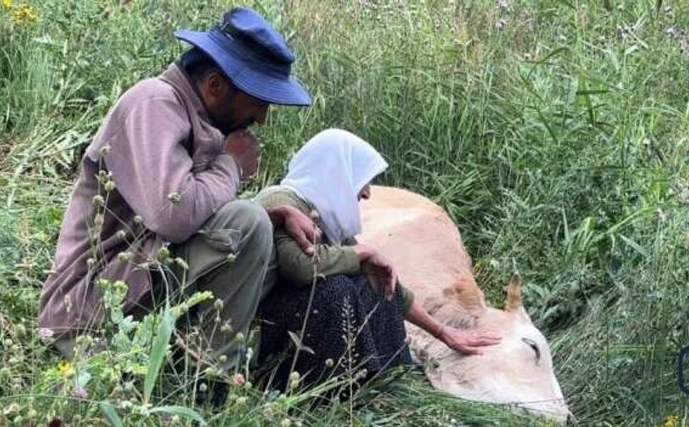 Yüksekova'da Ailenin Tek Geçim Kaynağı Uçurumdan Düştü