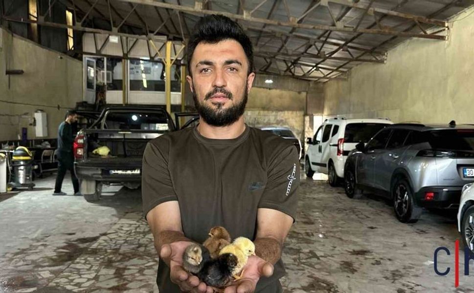 Hakkarili Girişimci Oto Yıkama Dükkanında Kuluçka Makinesi Üretti