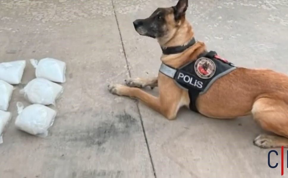 Uyuşturucu Operasyonu: Tırda 5 Kilo 800 Gram Metamfetamin Bulundu
