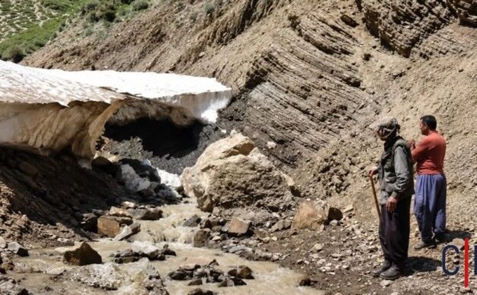 Hakkari'de Kar Kütlesi Faciası: 25 Koyun Telef Oldu