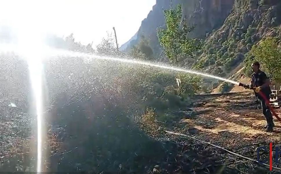 Hakkâri'de Otluk Alanda Çıkan Yangın Ağaçlık Bölgeye Sıçradı