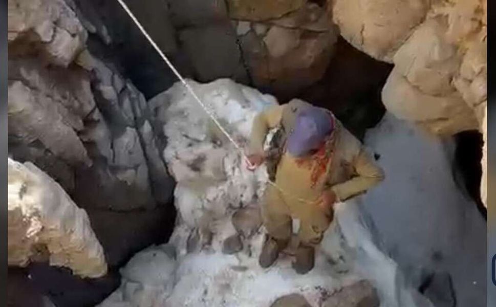 Yüksekova'da Buzağı Uçurumdan Düştü: Köylüler Halatlarla Seferber Oldu