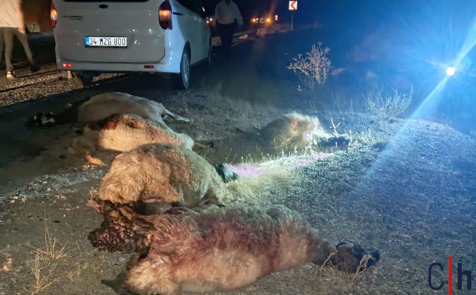 Hakkâri-Van Yolunda Feci Kaza: Otomobil Koyun Sürüsüne Daldı