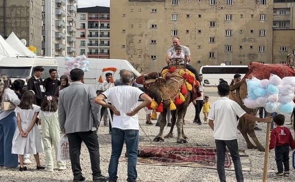 Yüksekova’da çocuklar için renkli etkinlik: Deve ve midilli turu