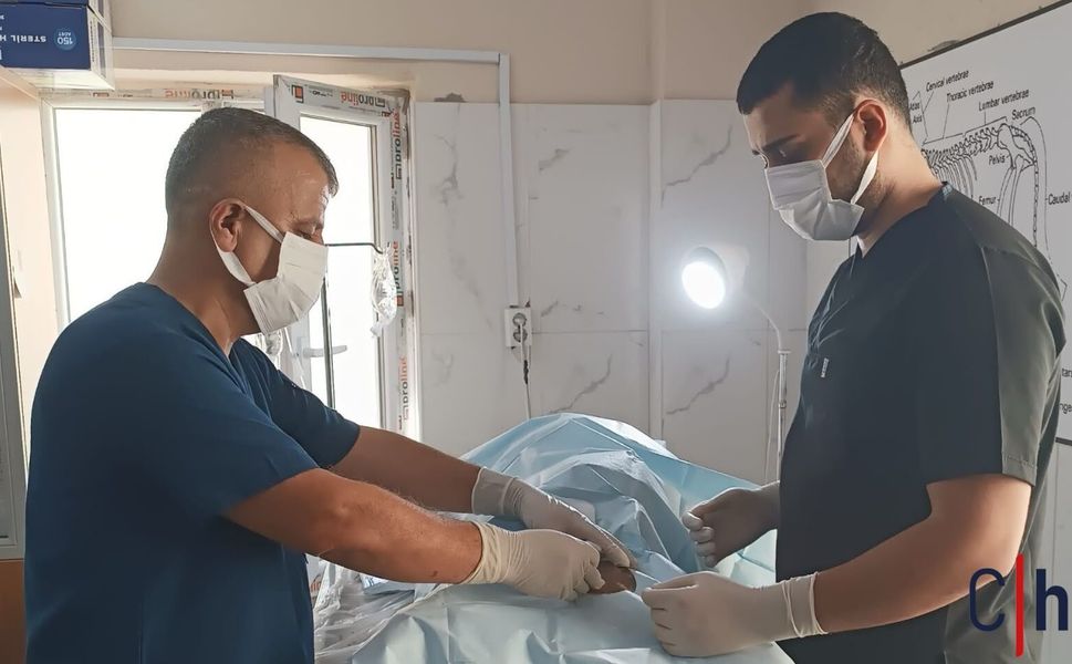 Hakkari'de sokak hayvanları için seferberlik